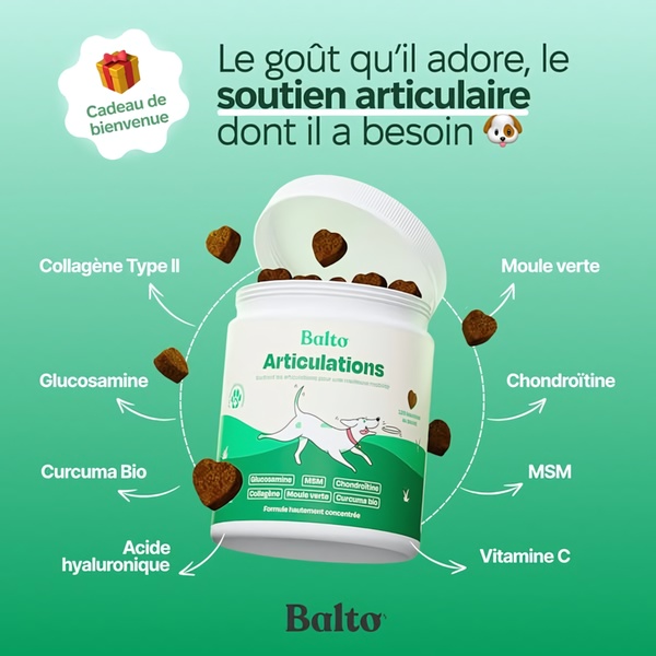 A square-format educational creative for dog joint supplements that uses a floating product container surrounded by key health ingredients to illustrate benefits.